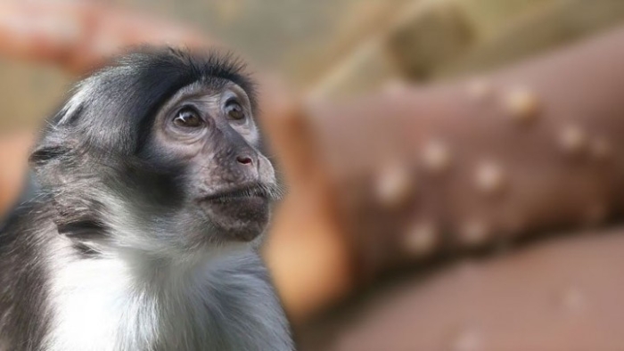 Oshiq eriga xotinini qanday sikishini korsatadi. U oyoqlarini yoyib, uni sikdi.