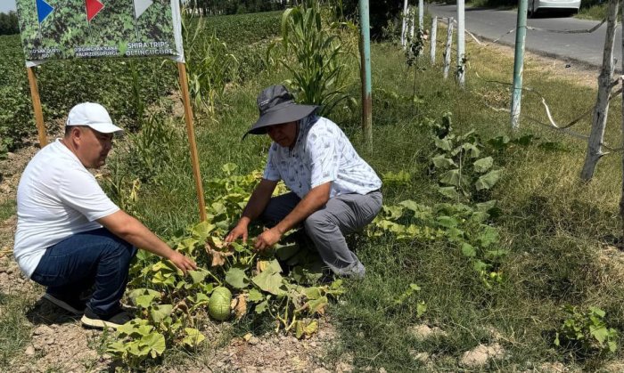 Дала четларида экин экмаганларга жарима қўлланилади