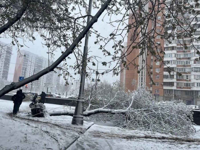 Москвада қор ёғиши оқибатида дарахтлар қулади, Внуковода эса рейслар бекор қилинди