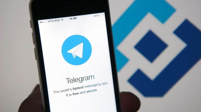  Россия Telegram'ни жаримага тортди