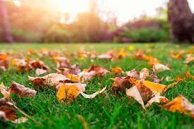 Sentyabr oyida bizni qanday ob-havo kutmoqda?