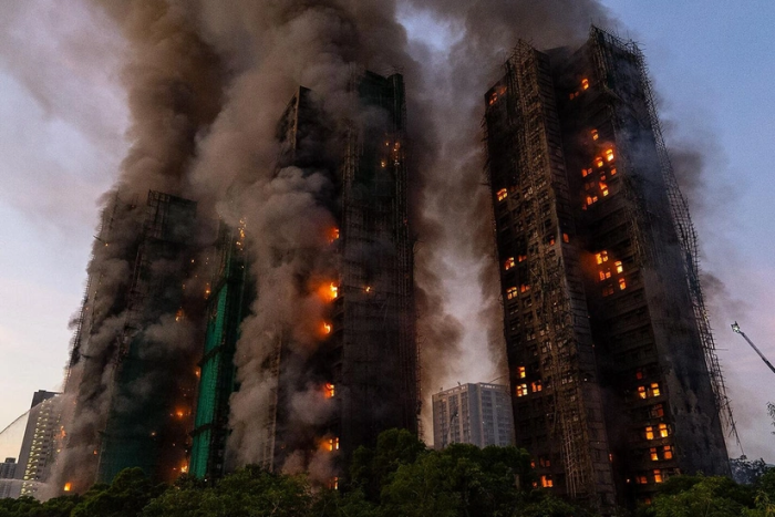 Gonkongdagi kuchli yong‘in joyidan 90 dan ortiq uy hayvonlari qutqarib olindi