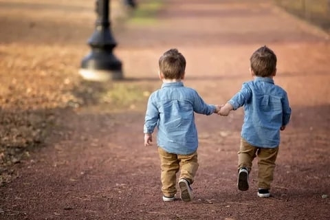 Egizaklar surati Egizaklar surati