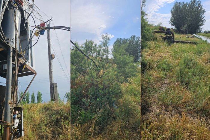 Samarqandda elektr energiyasi o‘g‘rilari qo‘lga tushdi