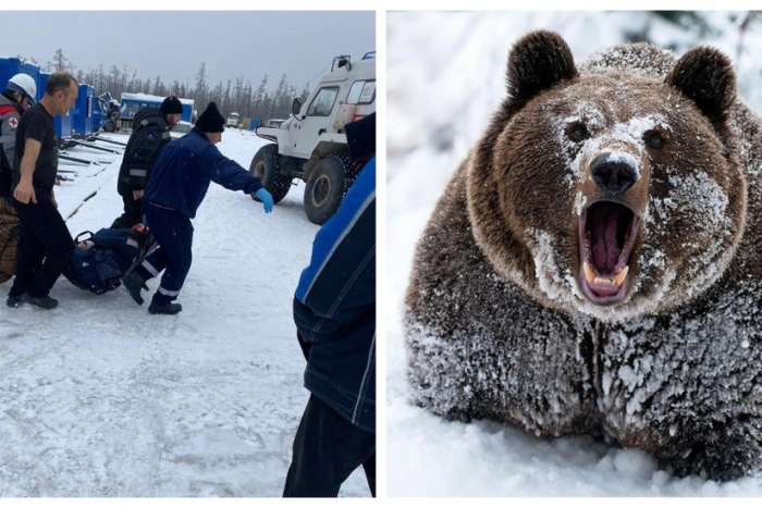 Rossiyada ayiq mahalliy fuqaroga hujum qilib, uni o‘ldirdi