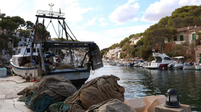 Эквадорда содир этилган отишмада 9 киши ҳалок бўлди