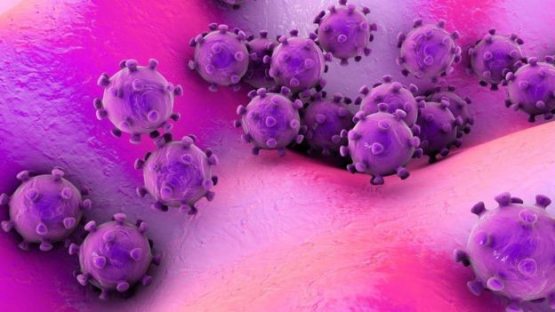 Koronavirus:  21 may yurtimizda 19 nafar kishida kasallik aniqlandi