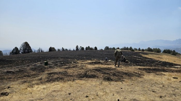 Сурхон қўриқхонасида ёнғин давом этяптими? ФВВ жавоб берди