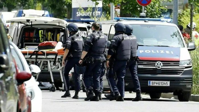 Avstriyadagi maktabda 10 kishini o‘ldirgan shaxsning uyidan portlash uyushtirish rejalari topildi
