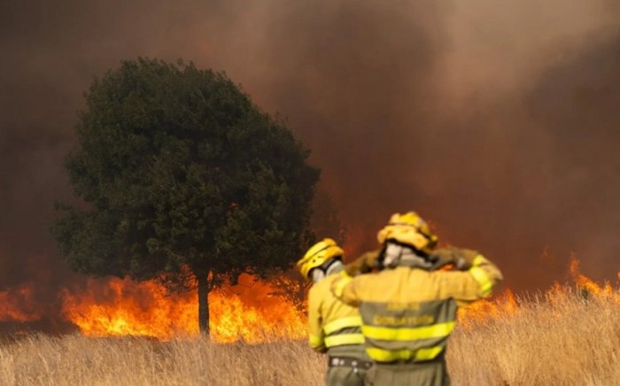 Испанияда ўрмон ёнғинлари авж олмоқда