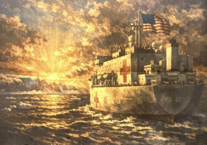 Tramp Grenlandiyaga suzuvchi shifoxona yuborishini ma’lum qildi