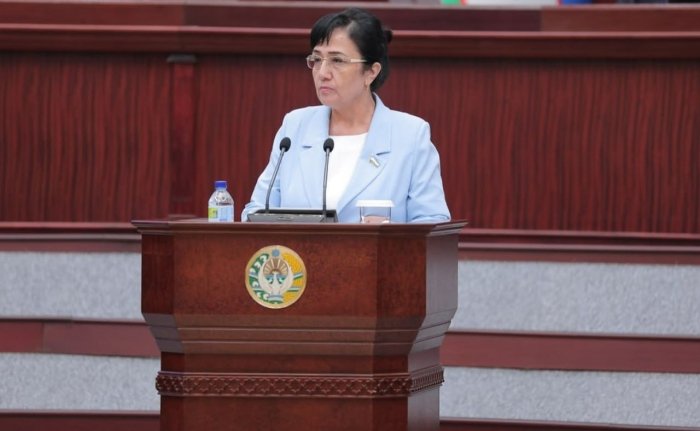 Васийлик ваколатлари ҳокимлардан олиниб, «Инсон» марказларига ўтказилади