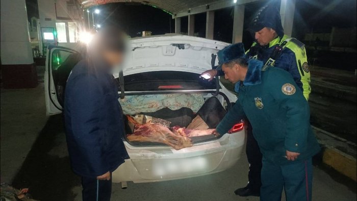 Қашқадарёда истеъмолга яроқсиз гўшт сотувга чиқарилишининг олди олинди