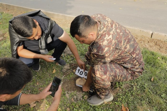 Toshkent shahar hokimligi daraxtlar kesilishi bo‘yicha munosabat berdi, ammo... (FOTOLAVHA)