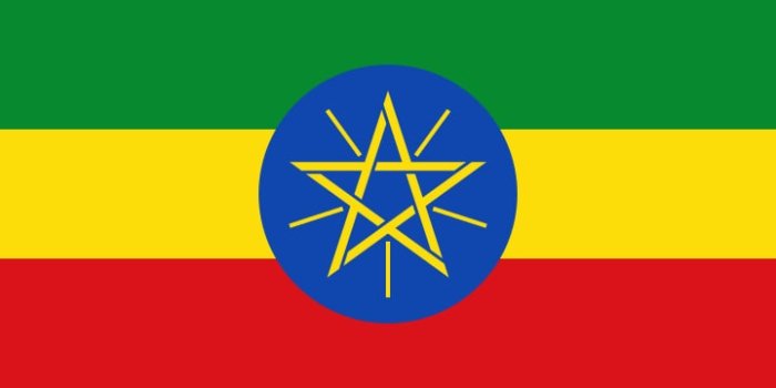 Efiopiya Misrni fuqarolik urushiga aralashishda aybladi