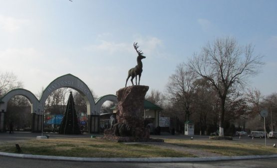 Toshkent zooparkidagi hayvonlar qanday yashamoqda? (VIDEO)