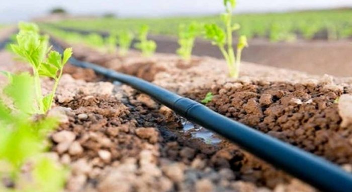 Suvni tejaydigan sug‘orish texnologiyalarini joriy etganlik uchun subsidiya beriladi
