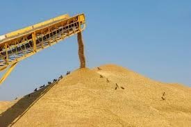 G‘alla va dukkakli ekinlardan 6,1 mln tonna hosil olindi