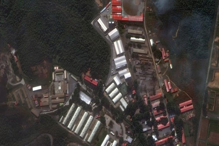 АҚШнинг Венесуэладаги ҳарбий амалиёти қурбонлари сони 80 кишига етди