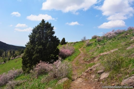 Porno jinsiy aloqa ona va ogil Kattalar liniyasi mushuk sexy