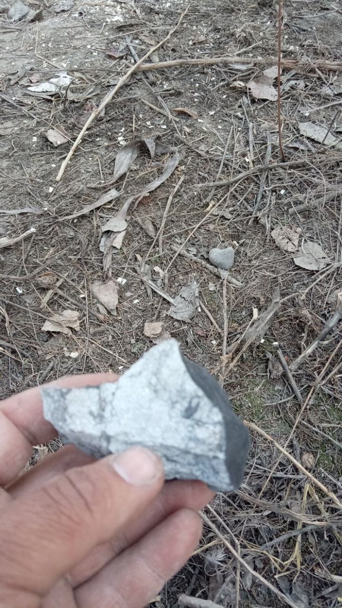 Namangan va Toshkent osmonida jism qulashi kuzatildi (foto)