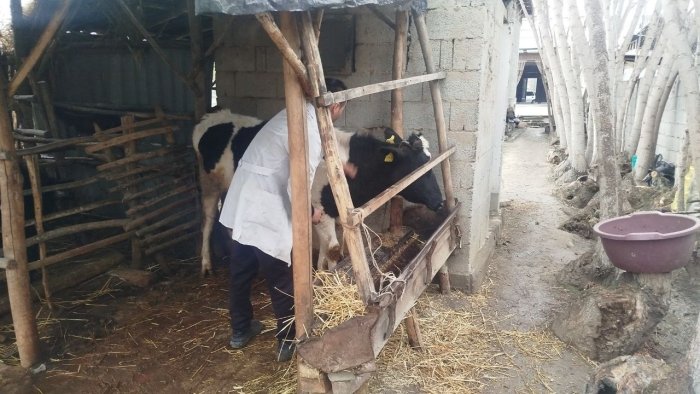 Sifati kafolatlanmagan dori vositalari fosh etildi