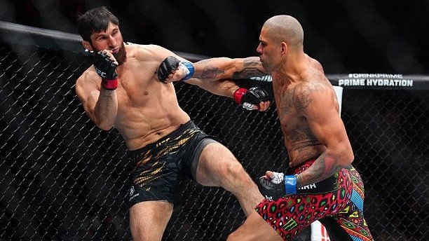 UFC. Алекс Перейра Магомед Анкалаевни 1-раунддаёқ техник нокаутга учратди