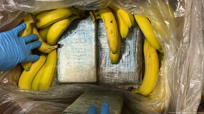 Germaniya supermarketlarida bananlar orasidan 95 kg kokain topildi