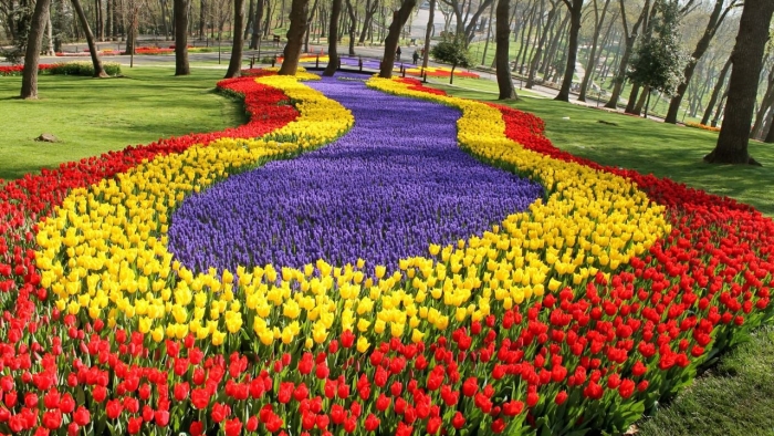 Istanbul mashhur lola mavsumiga tayyor