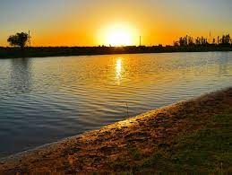 Қарши магистрал каналидан олинган сув намунасида вабо вибриони аниқланганми?