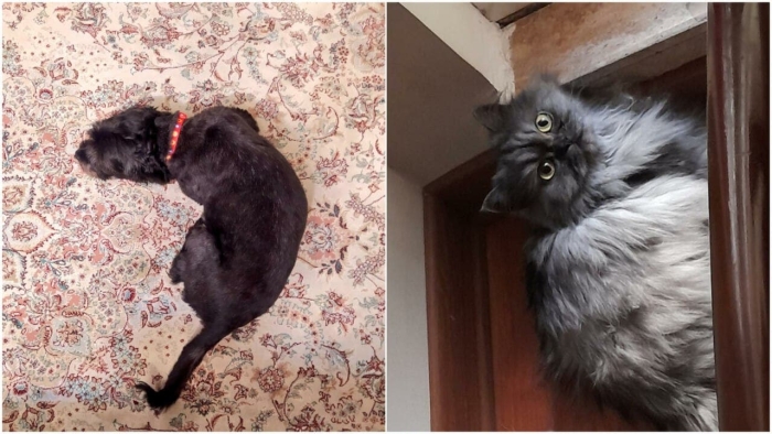 Jinsiy turizm porno filmlar