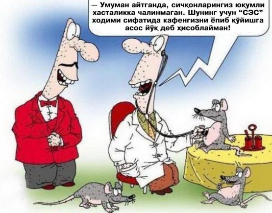 Kulgi bekati!.. (37-qism)