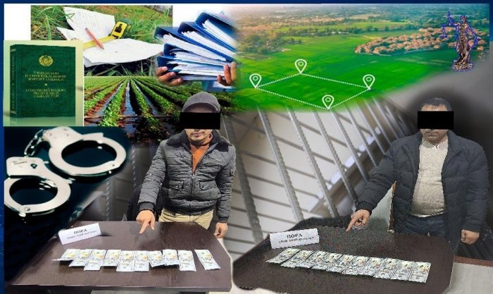 Poraxo‘r hokim yordamchisi va kadastr ishchi qo‘lga tushdi