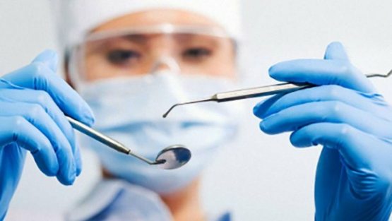 Selyodka hidli mushuk haqidagi porno hikoyalar