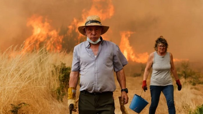 Испанияни ўрмон ёнғинлари қамраб олди