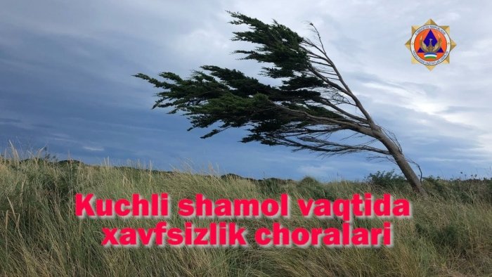 Кучли шамолда ҳаётингизни сақлаб қолинг — бу хавфсизлик қоидаларини ўқинг!