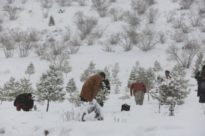 AQShda bir milliondan ortiq mijoz qor bo‘roni tufayli elektrsiz qoldi