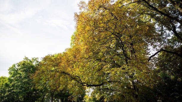 21 sentyabr kuni harorat nisbatan ko‘tariladi