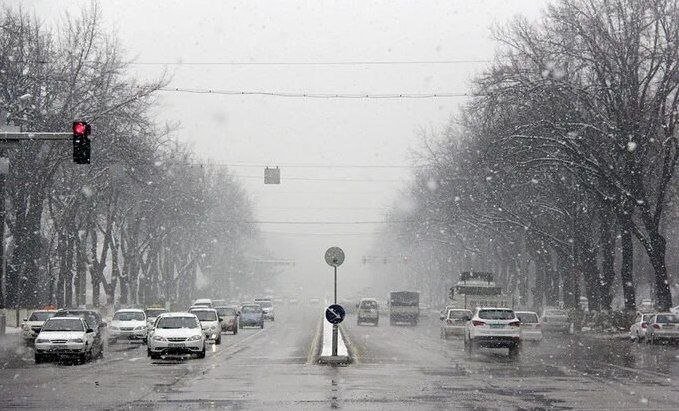 2025 йил Тошкент тарихидаги энг иссиқ йил сифатида қайд этилди