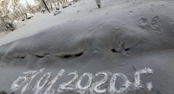 Mini yubka kiygan qizlar kamming Aktrisa Natalya Vavilova yalangoch