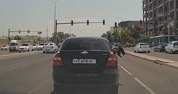 Тошкентда фуқаро ҳаракатланаётган машина ойнасидан мушукни улоқтирди