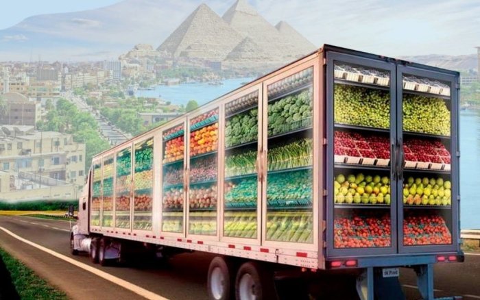 O‘zbekiston mevalari uchun Misr bozoriga yo‘l ochildi