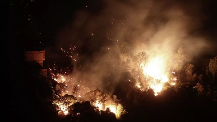 Жазоирдаги ўрмон ёнғинлари қурбонлари 65 кишига етди