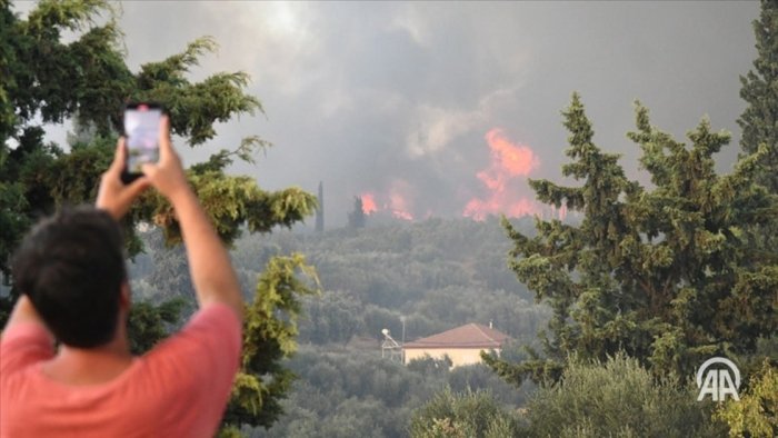 Gresiyada 4 kunda 242 ta o‘rmon yonishi ro‘y berdi