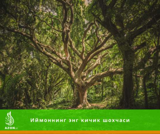 Иймоннинг энг кичик шохчаси Иймоннинг энг кичик шохчаси