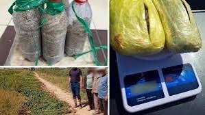Уч ҳудудда ушланган наркосавдогарлардан жами 12,7 кг гиёҳвандлик воситалари олиб қўйилди