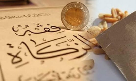 Mobil telefonlar uchun porno rasmlar, porno yoq