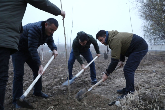 Aziz Abduhakimov Ekologiya vazirligi xodimlari bilan birga Andijonda daraxt ekdi