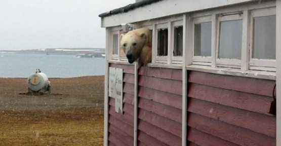 Massaj terapevtlari haqida onlayn porno tomosha qiling