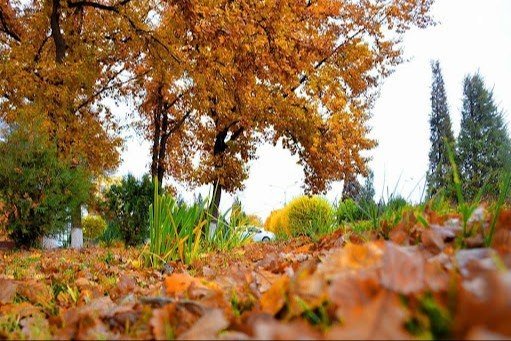 Ish haftasi davomida O‘zbekiston hududi bo‘yicha quyoshli va juda iliq ob-havo kuzatiladi
